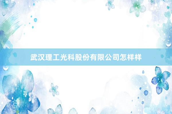 武汉理工光科股份有限公司怎样样